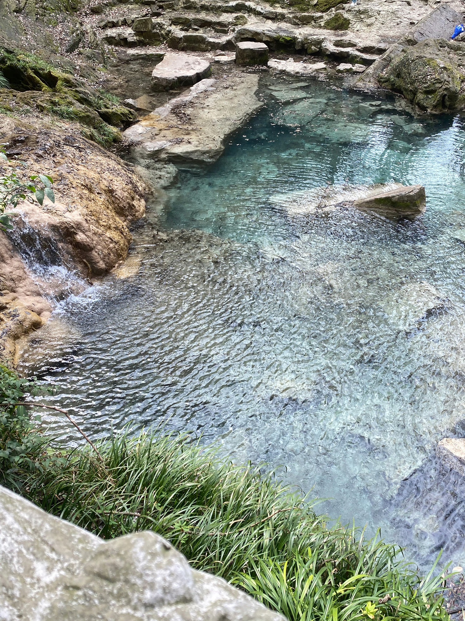 大口国家森林公园旅行图片