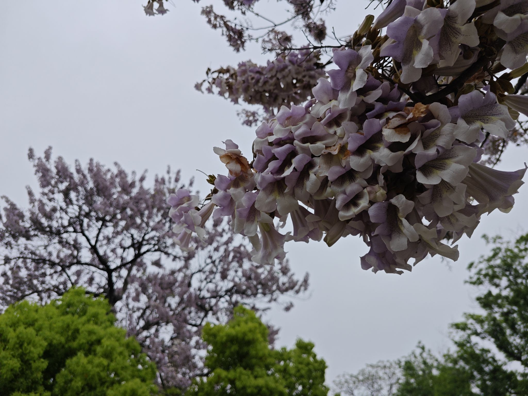 文风塔