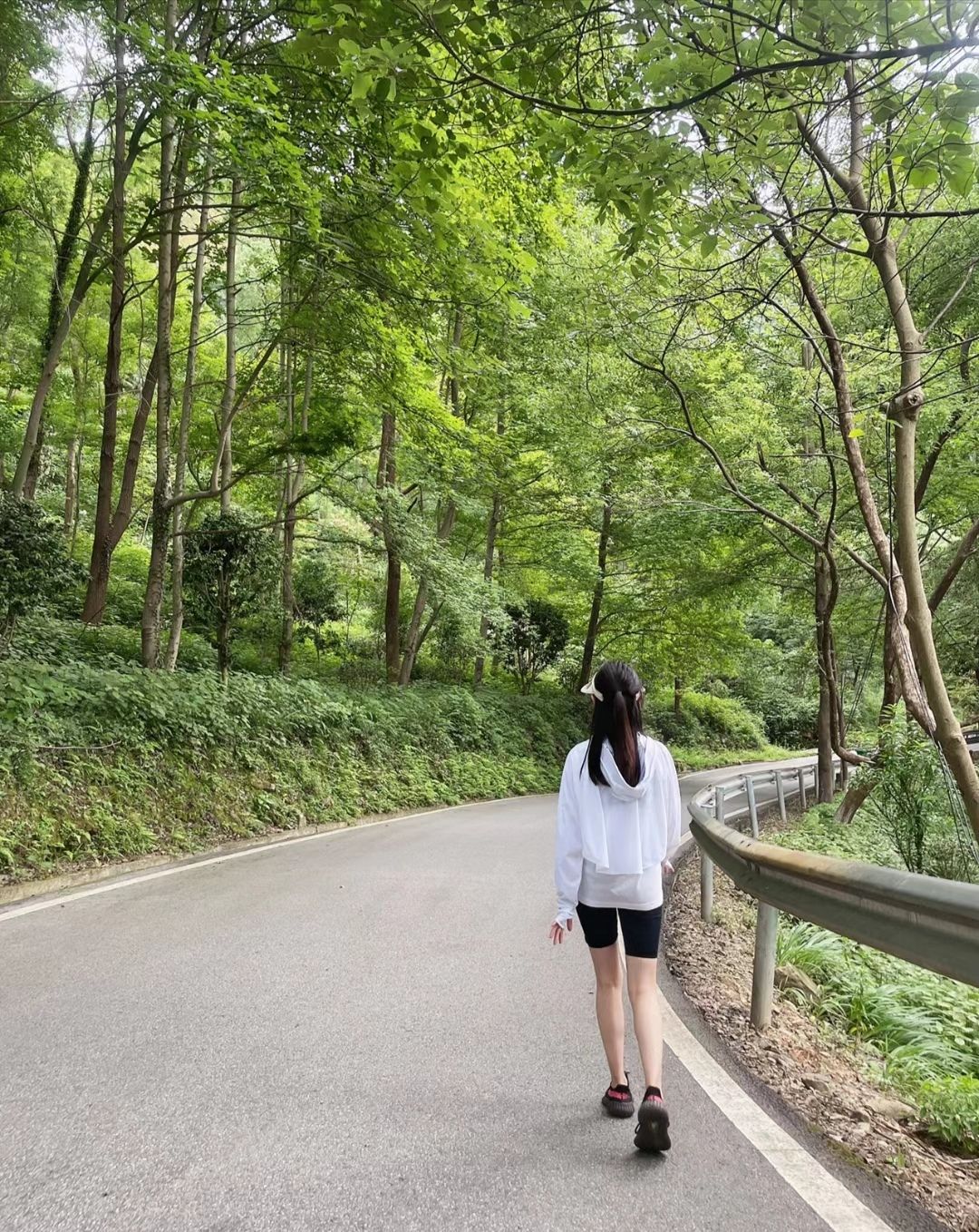 五尖山森林生态文化旅游区