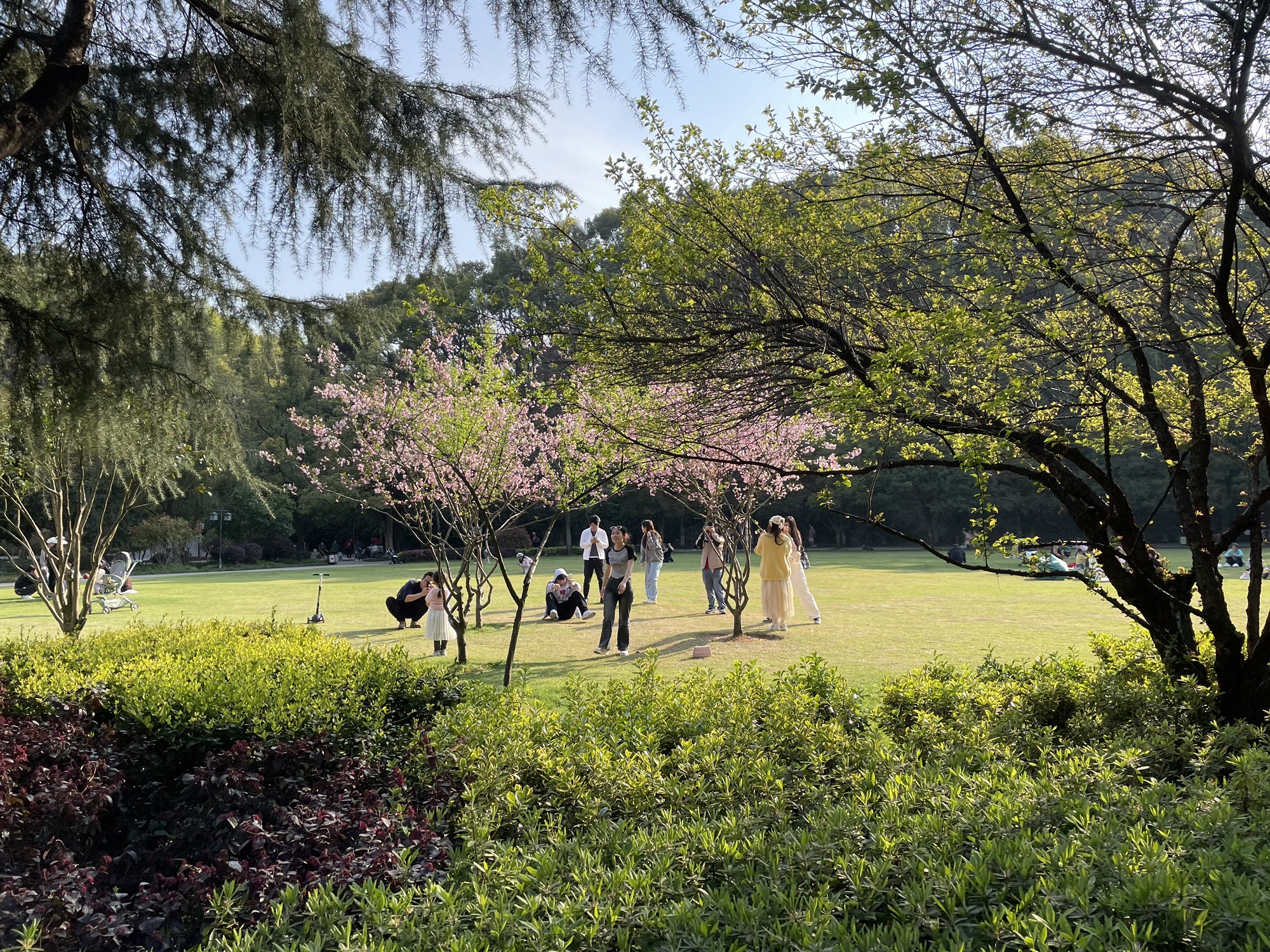 长沙市望月公园旅行图片
