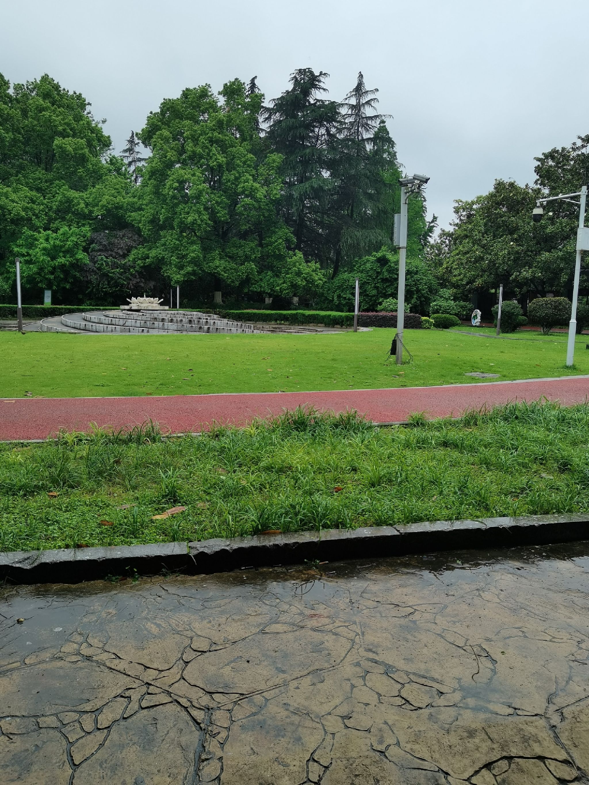 紫凤园旅行图片