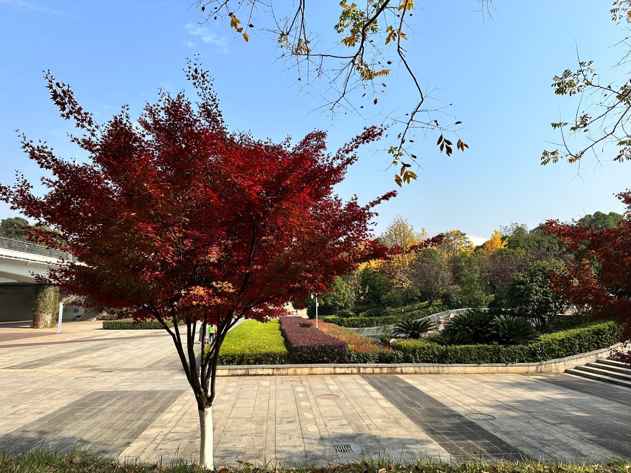 湘府文化公园旅行图片