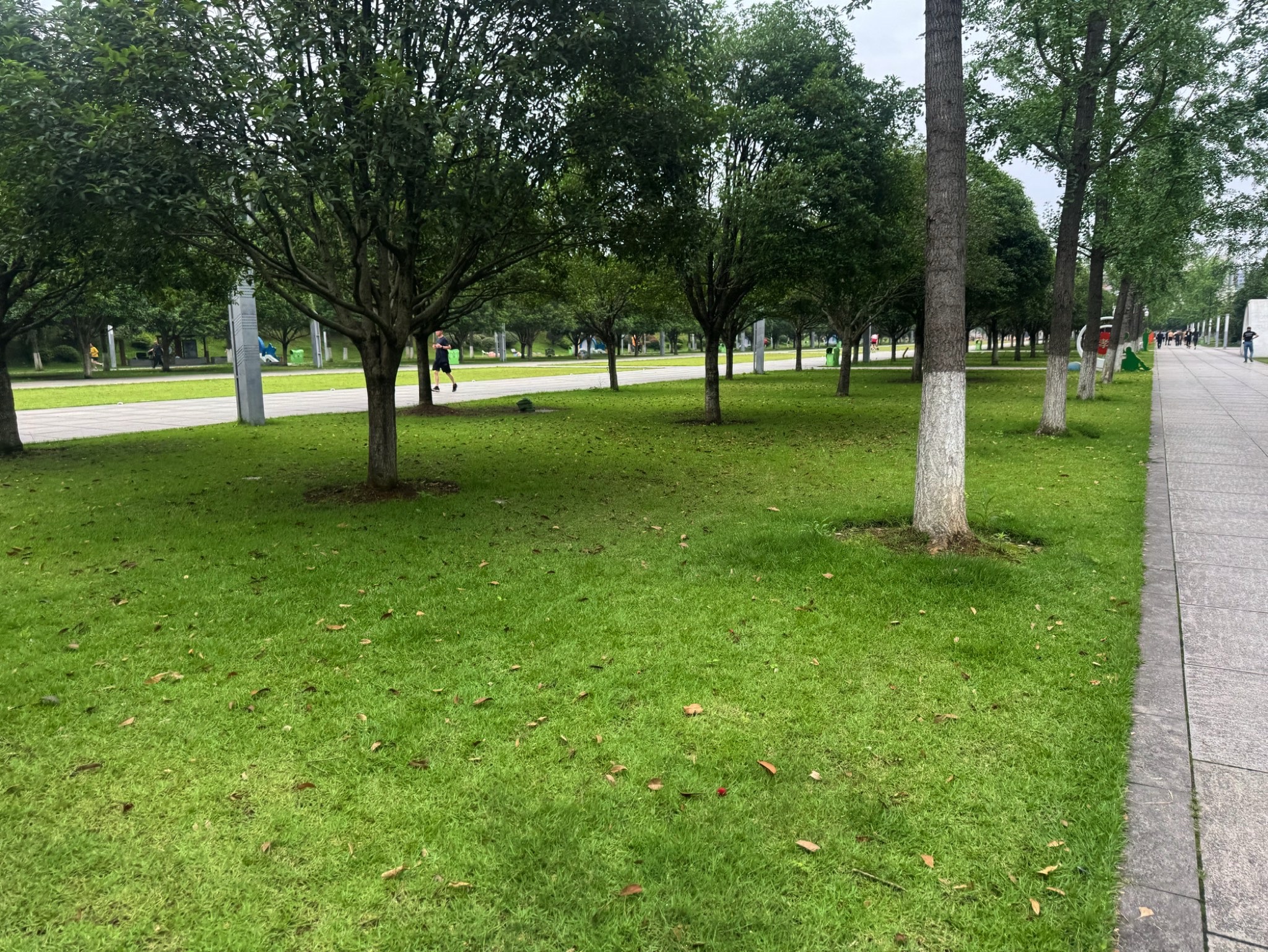湘府文化公园旅行图片
