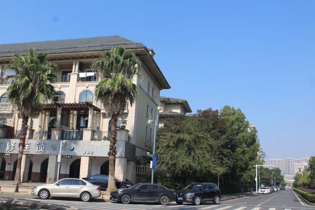 麓谷公园旅行图片