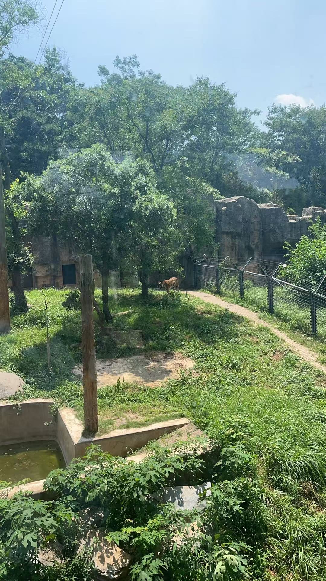 长沙生态动物园旅行图片