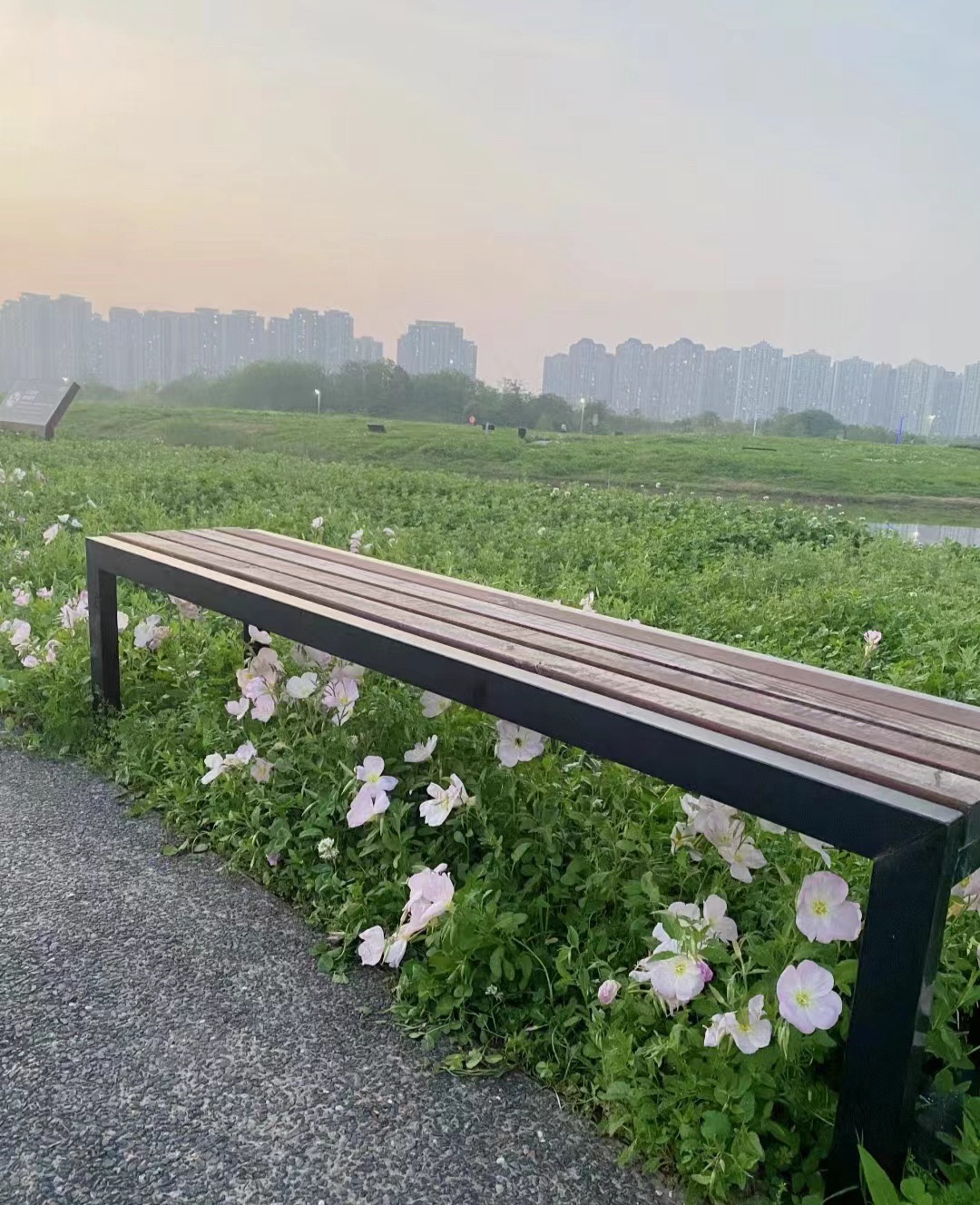 洋湖国家湿地公园旅行图片