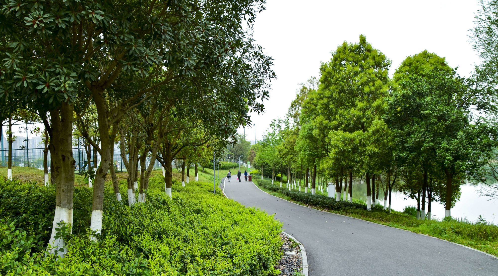 洋湖国家湿地公园旅行图片