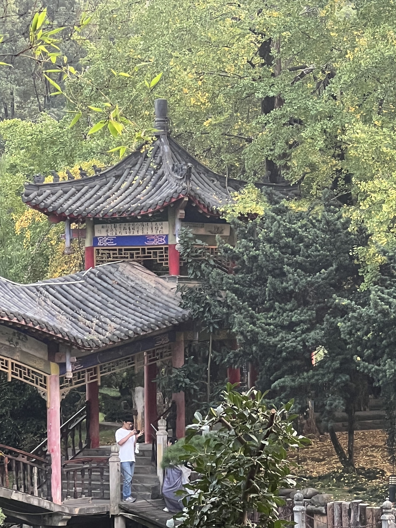 华雅阁