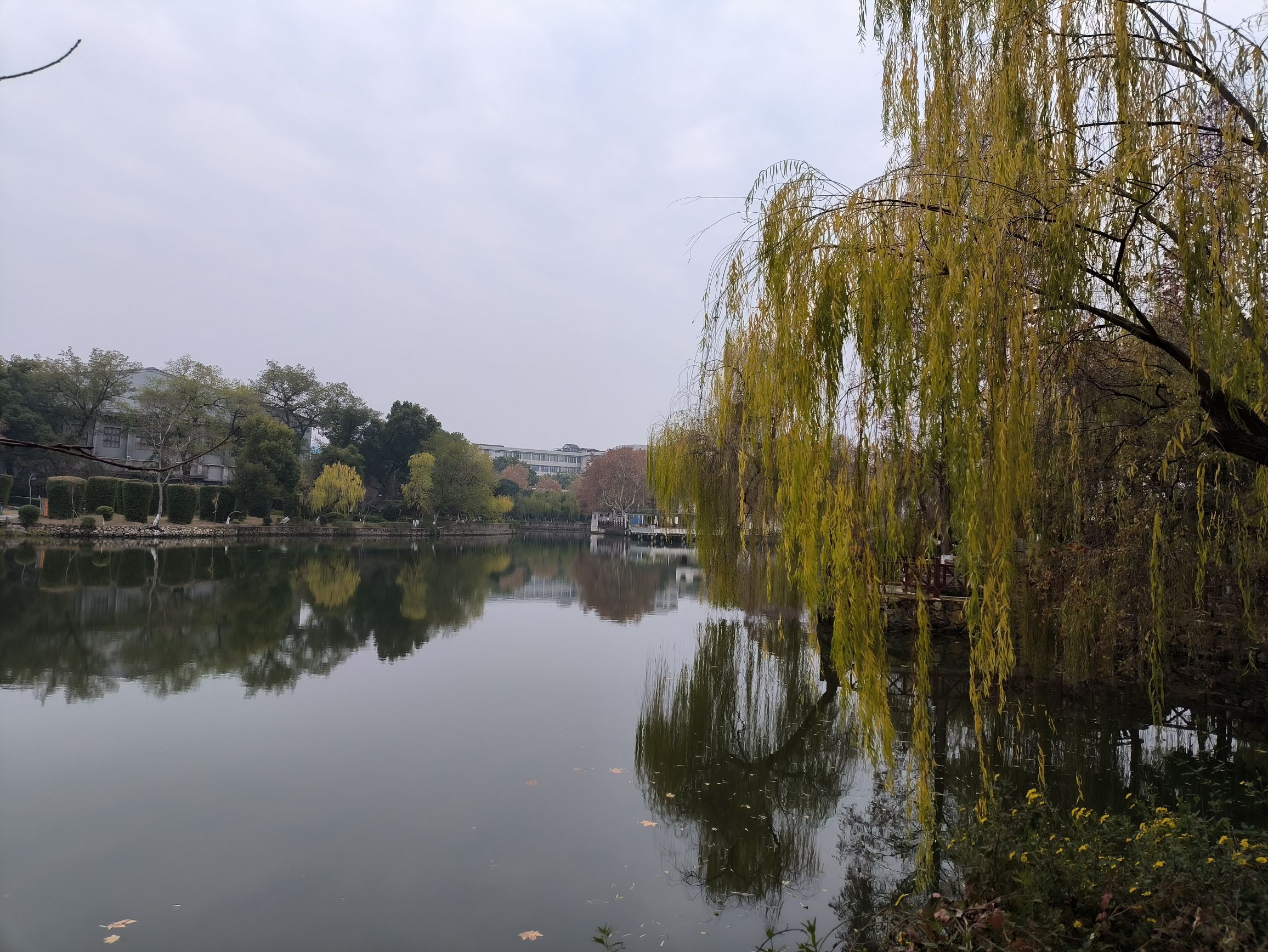雨湖公园