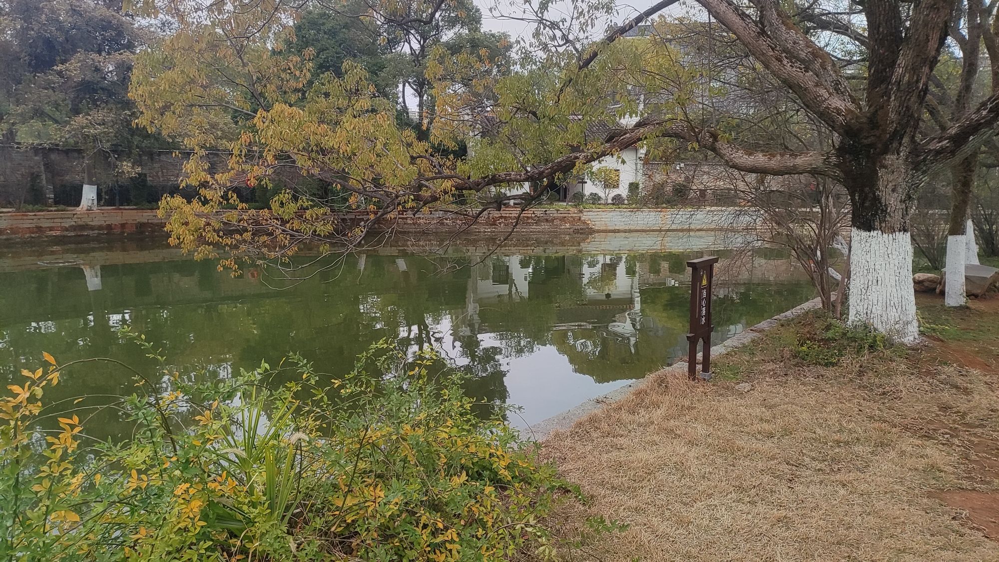 东山书院旅行图片