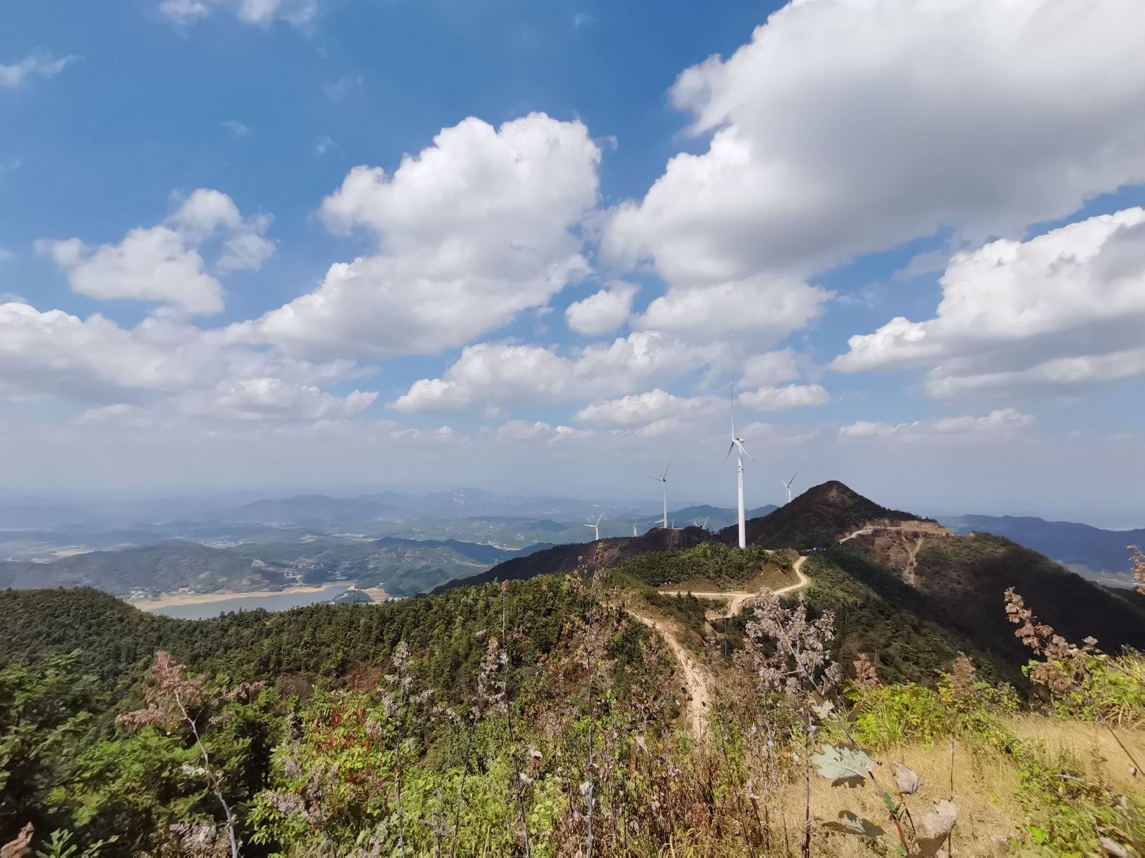 褒忠山旅行图片