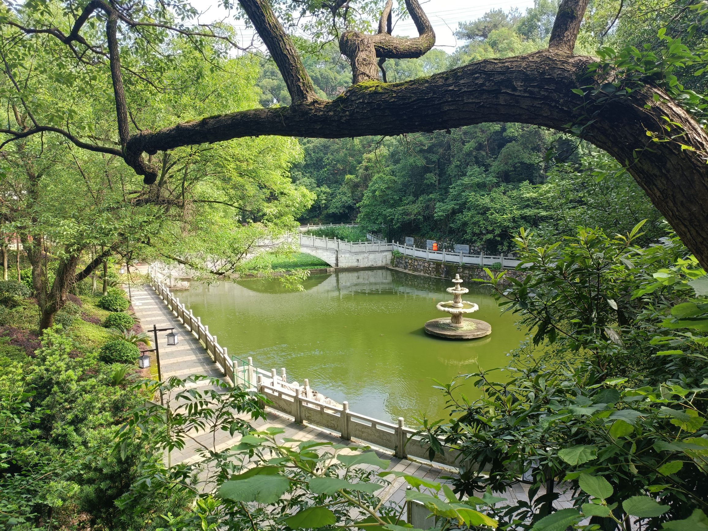 灵龟峰