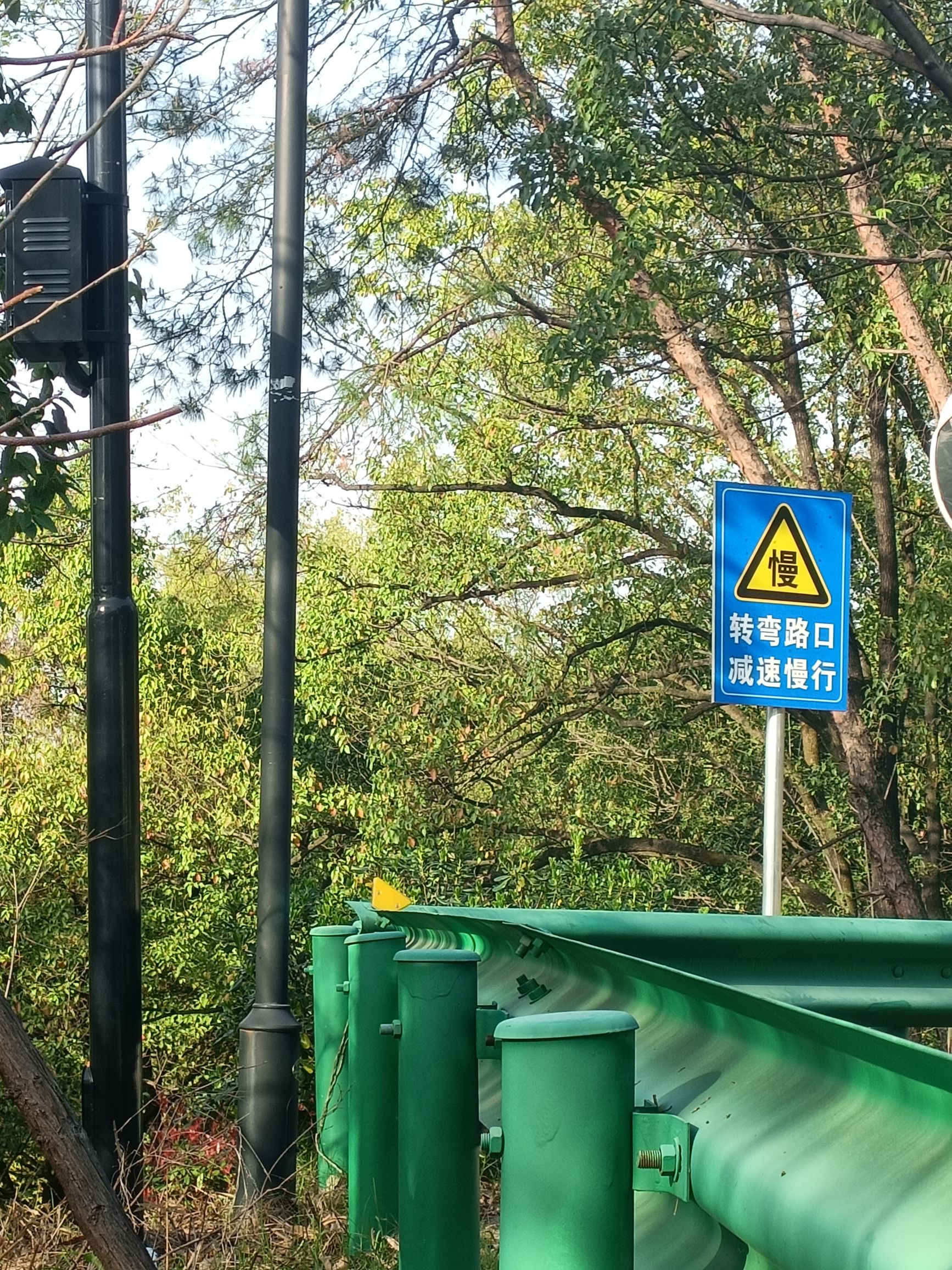 凤凰山公园旅行图片