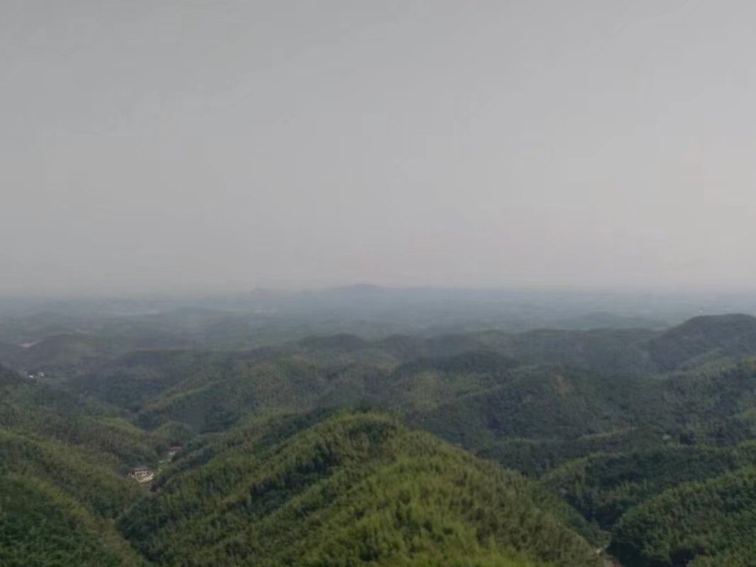 金轮古寺旅行图片