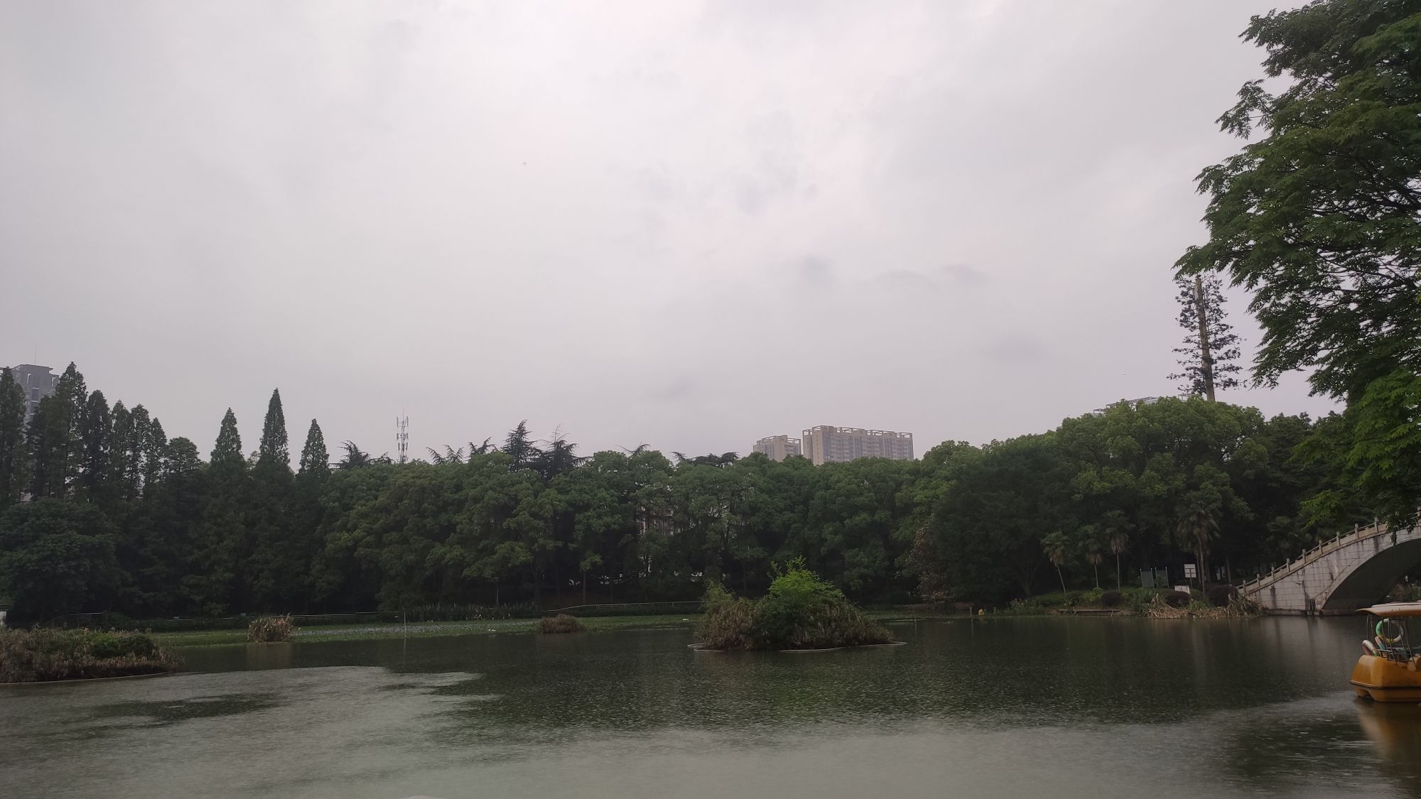 西湖公园旅行图片
