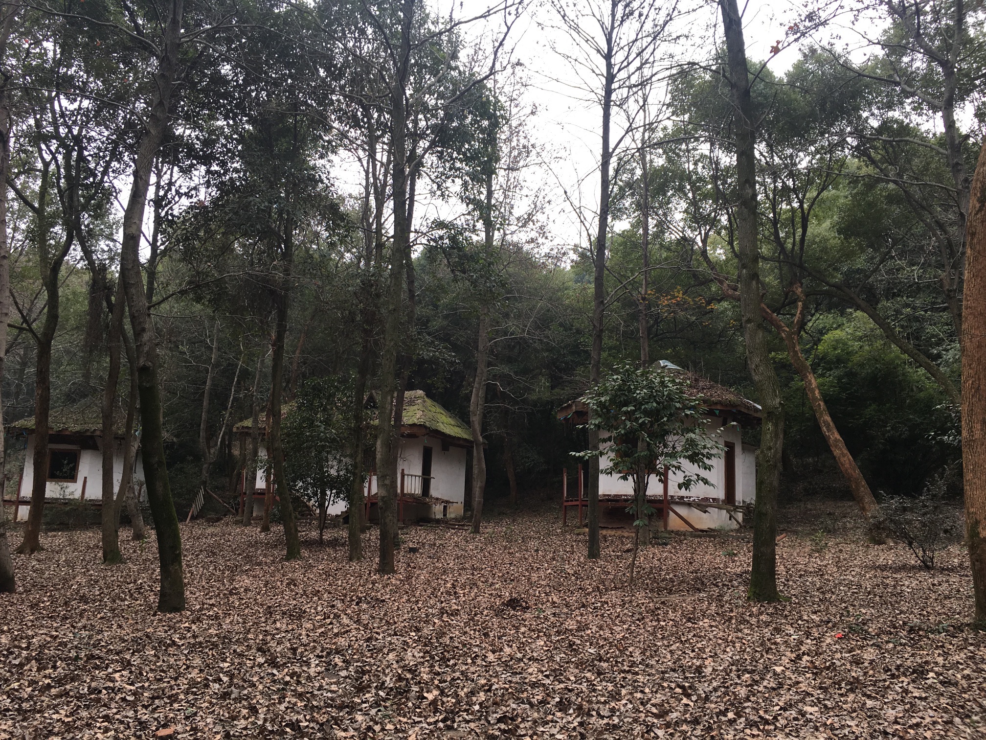 南郊公园