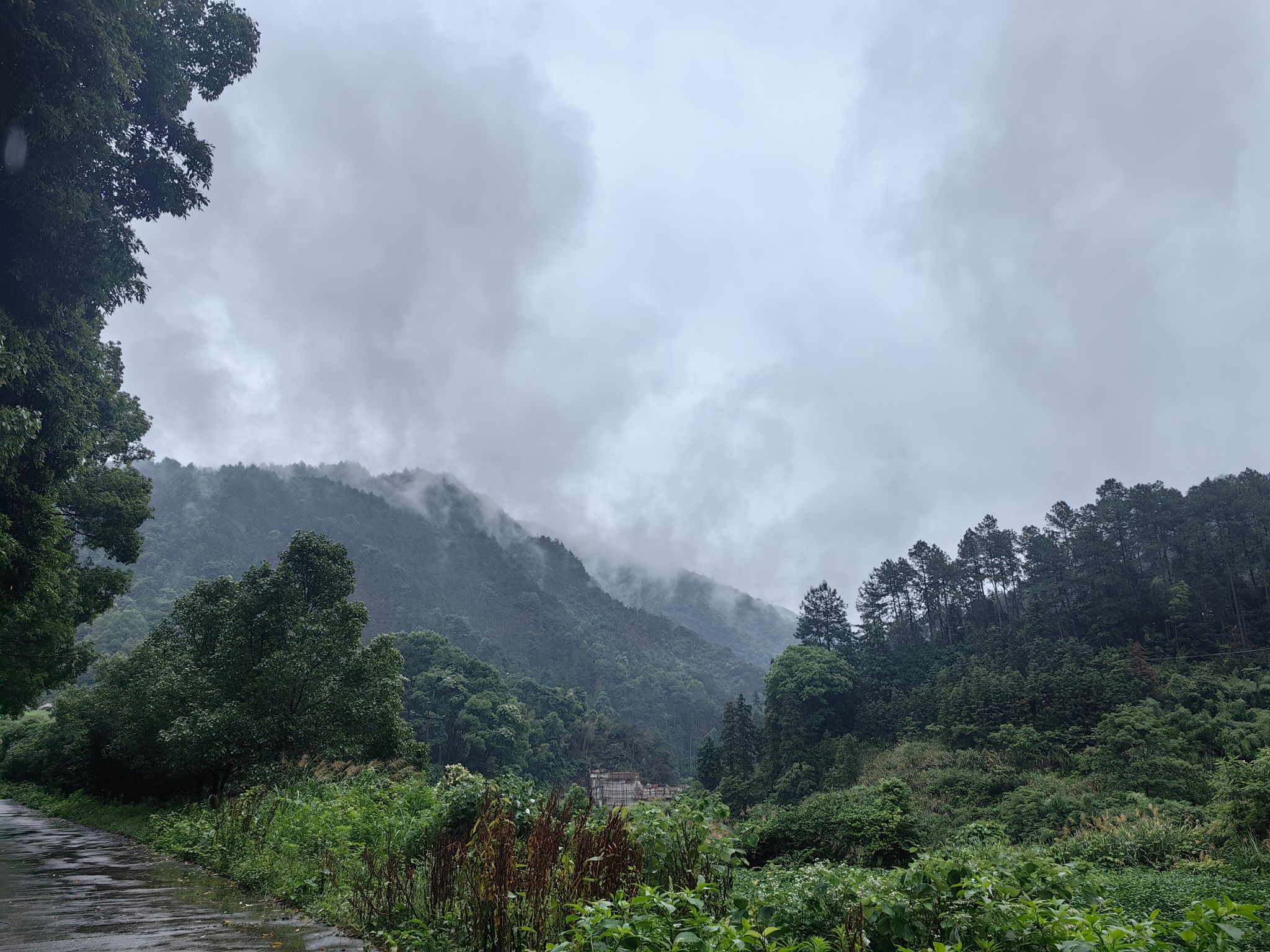 湖南四明山国家森林公园