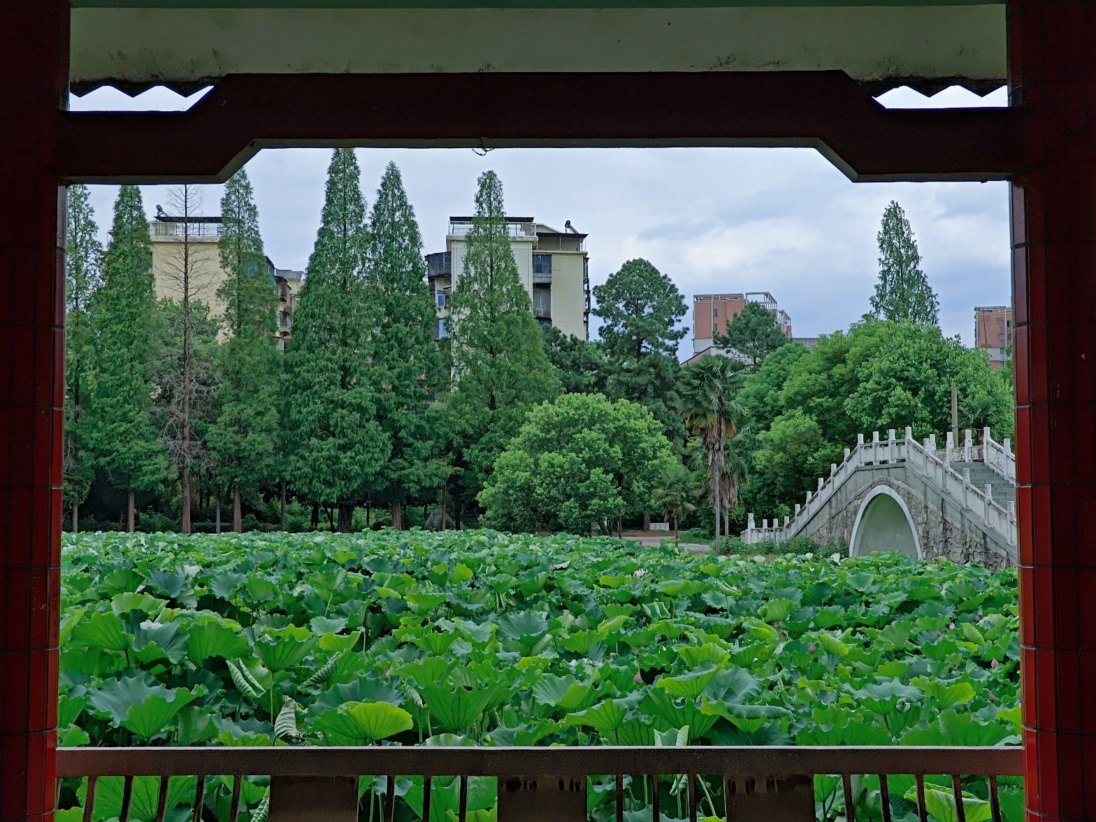 苗圃公园旅行图片