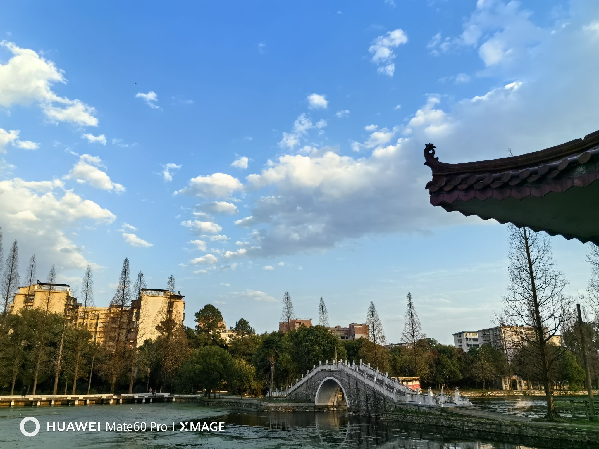 苗圃公园旅行图片