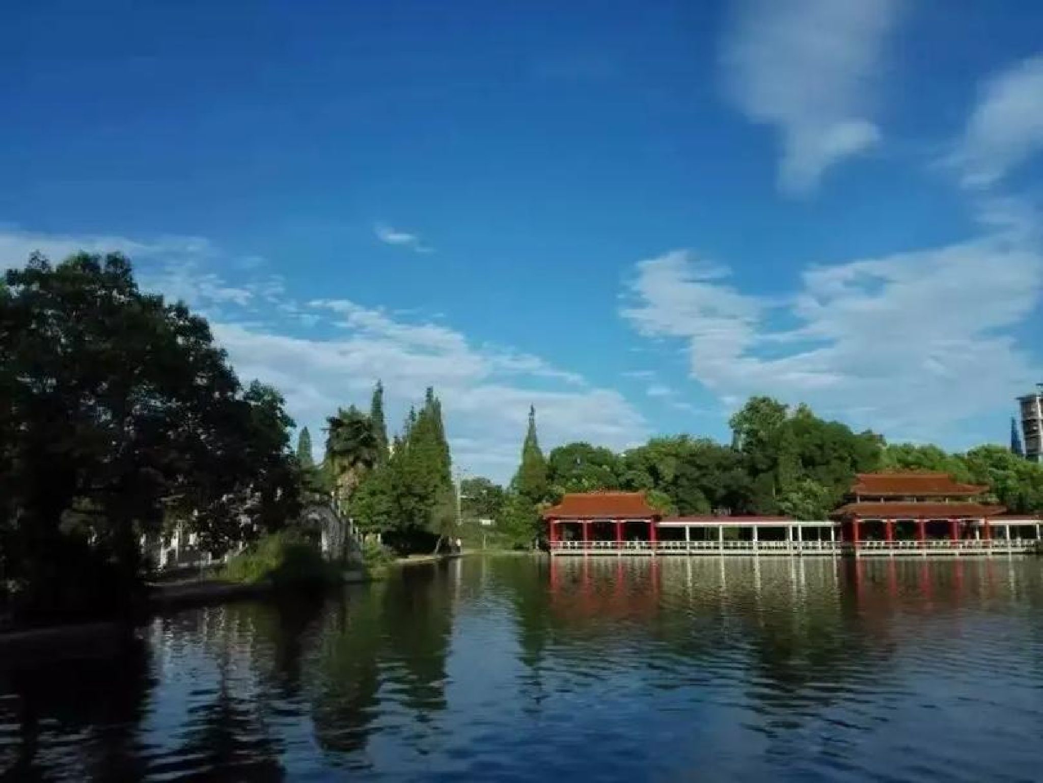 苗圃公园旅行图片