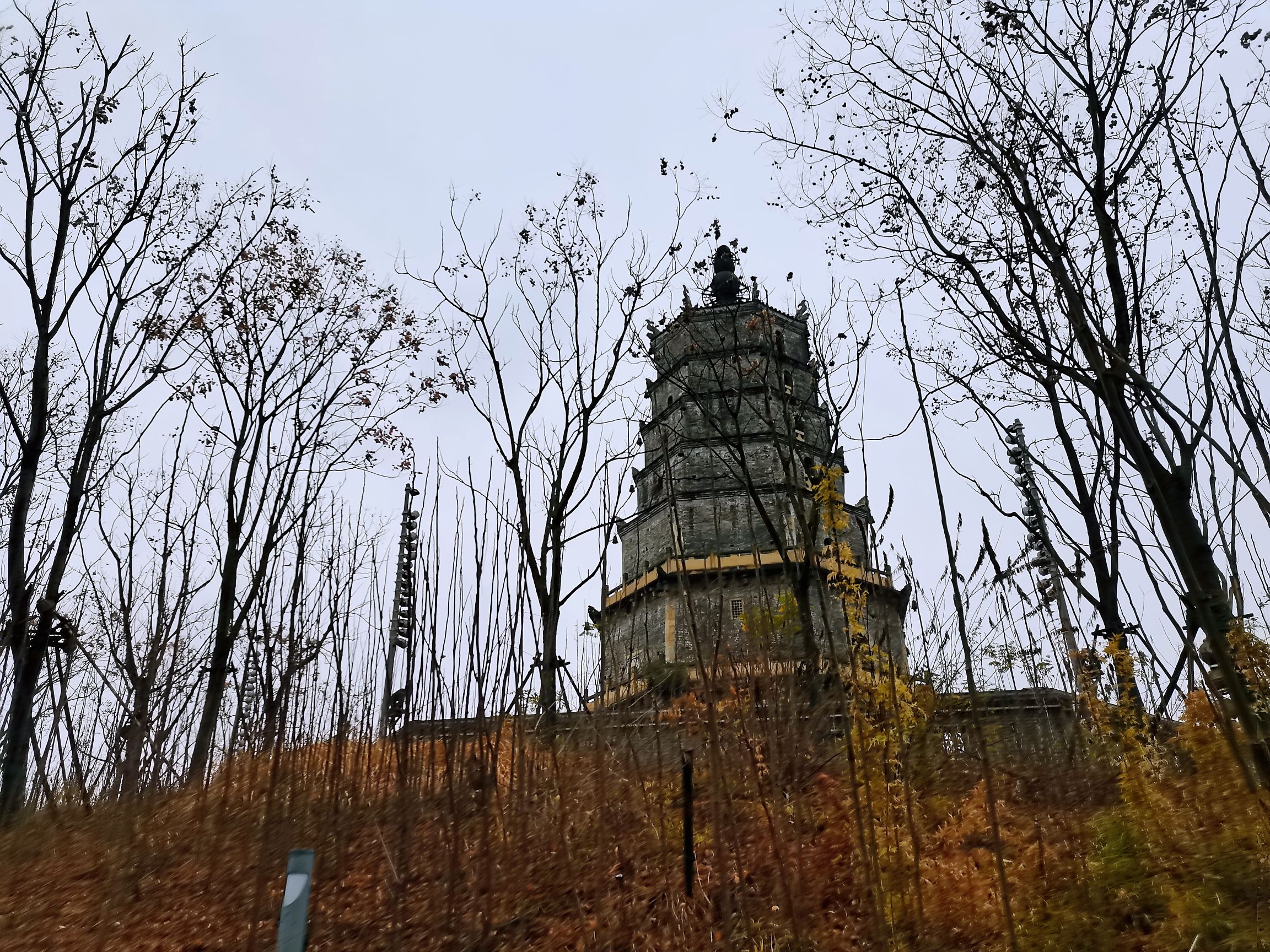 来雁塔旅行图片
