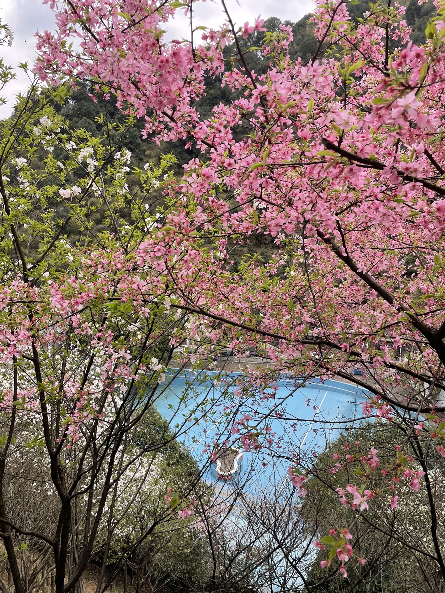 王仙岭生态公园旅行图片