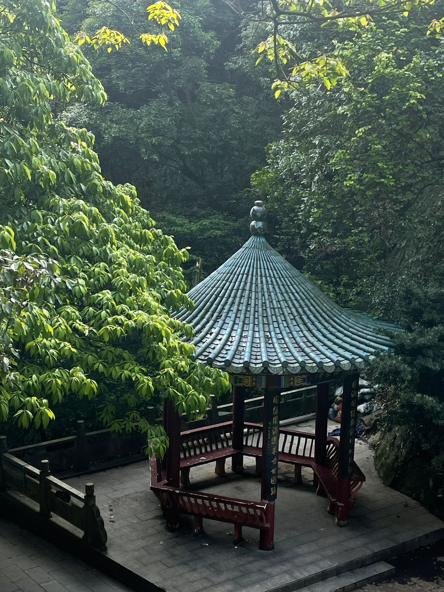 王仙岭生态公园旅行图片