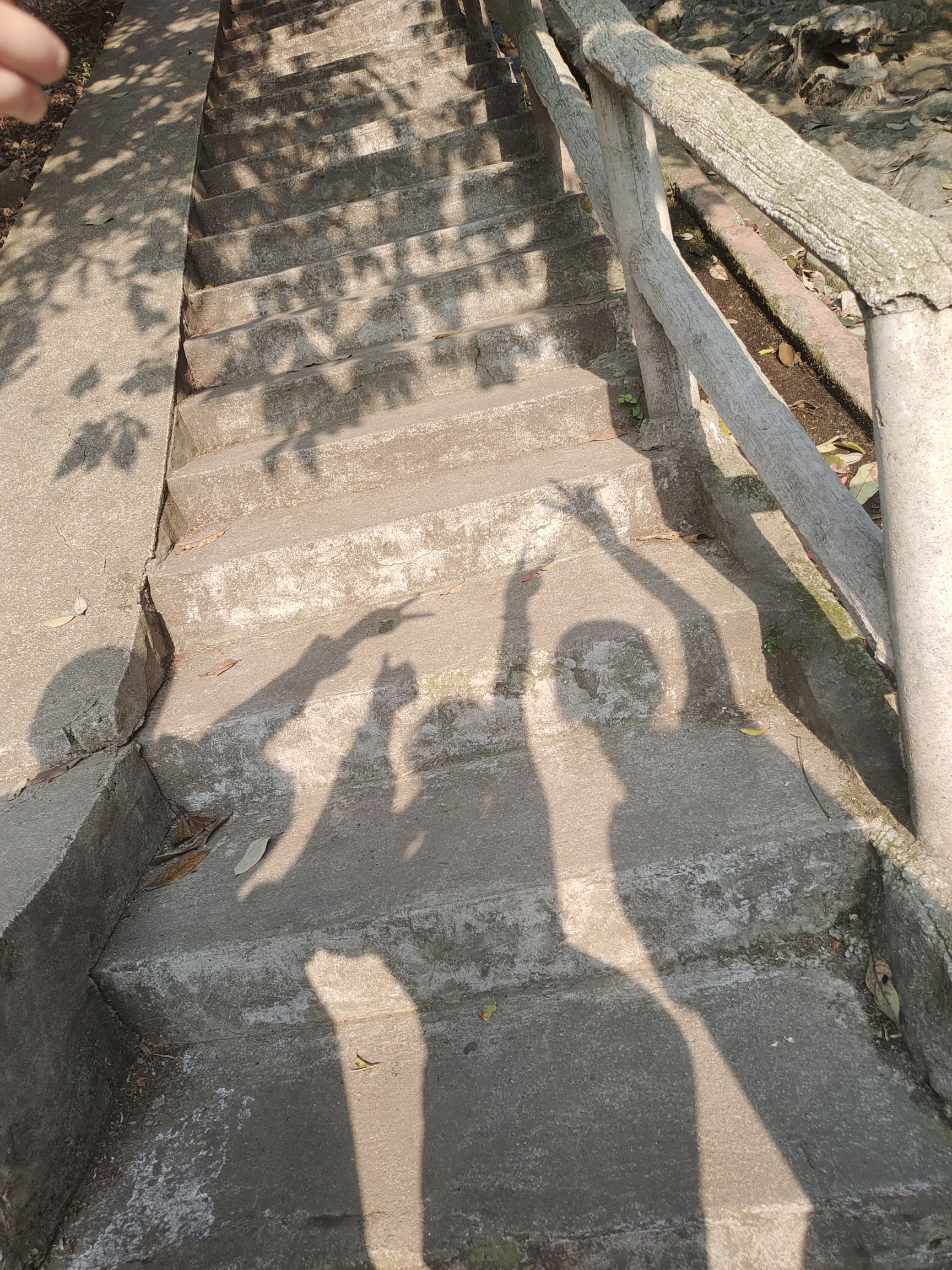 王仙岭生态公园旅行图片