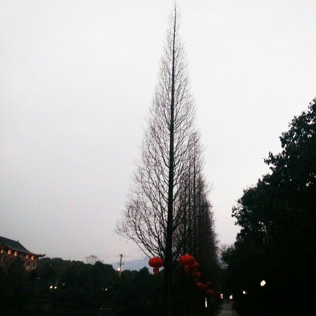 秀流公园旅行图片