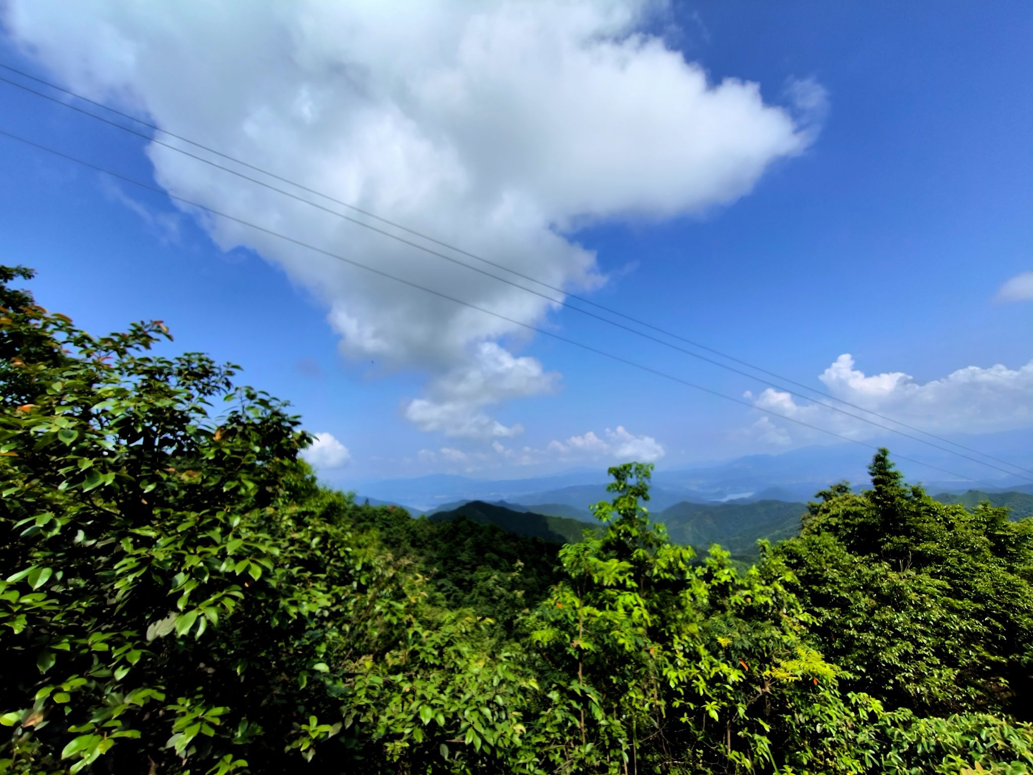 天鹅山国家森林公园