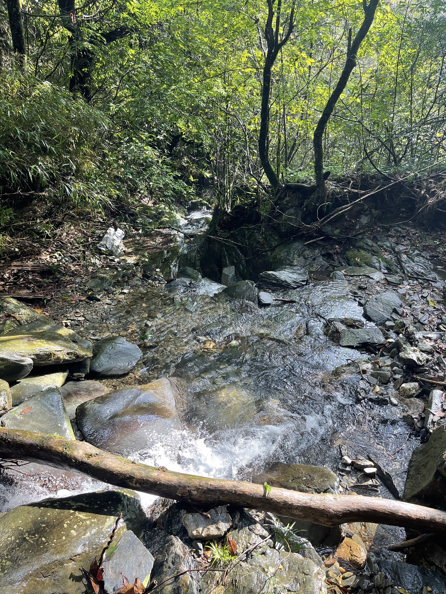 湖南八面山国家级自然保护区(暂停开放)旅行图片