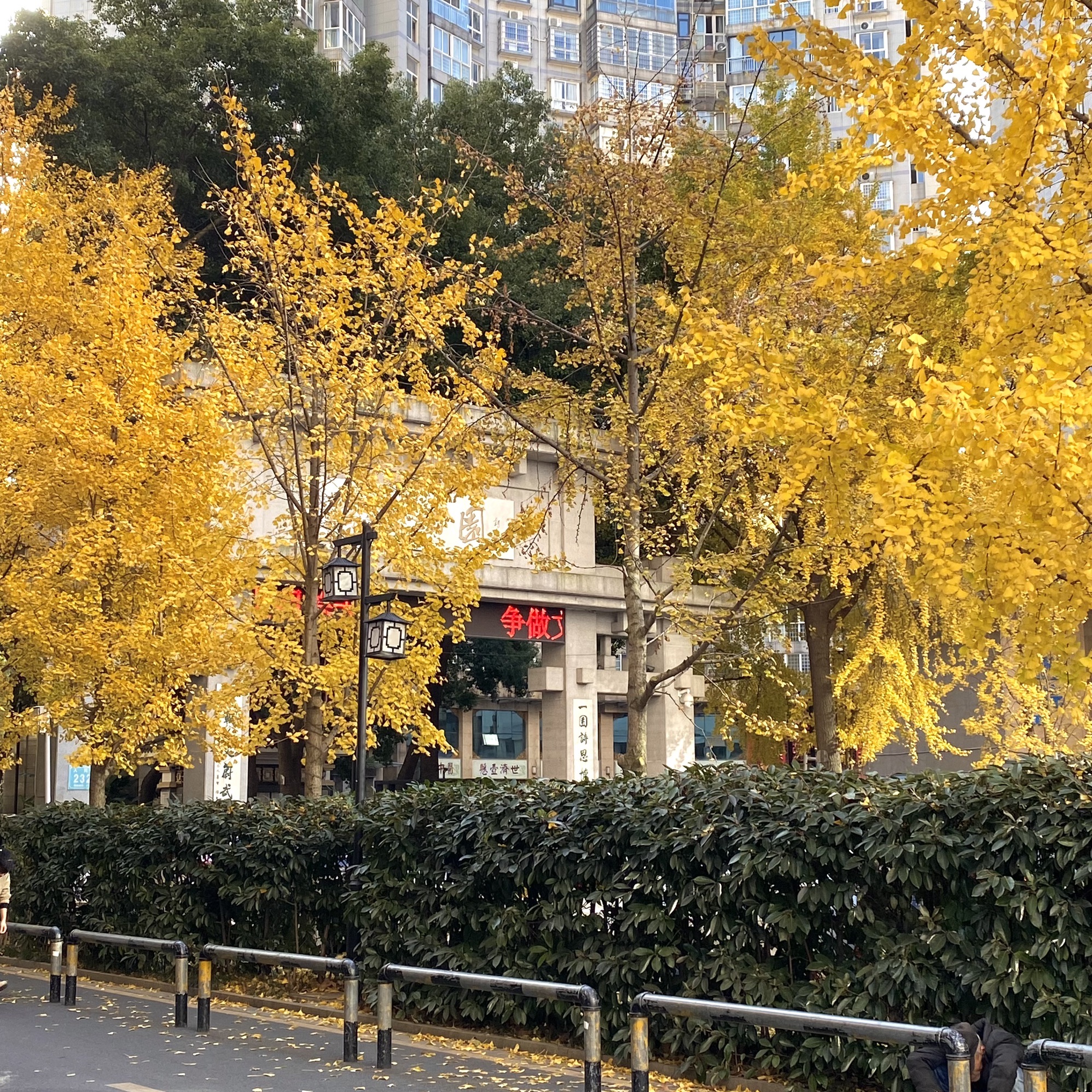 屈原公园旅行图片