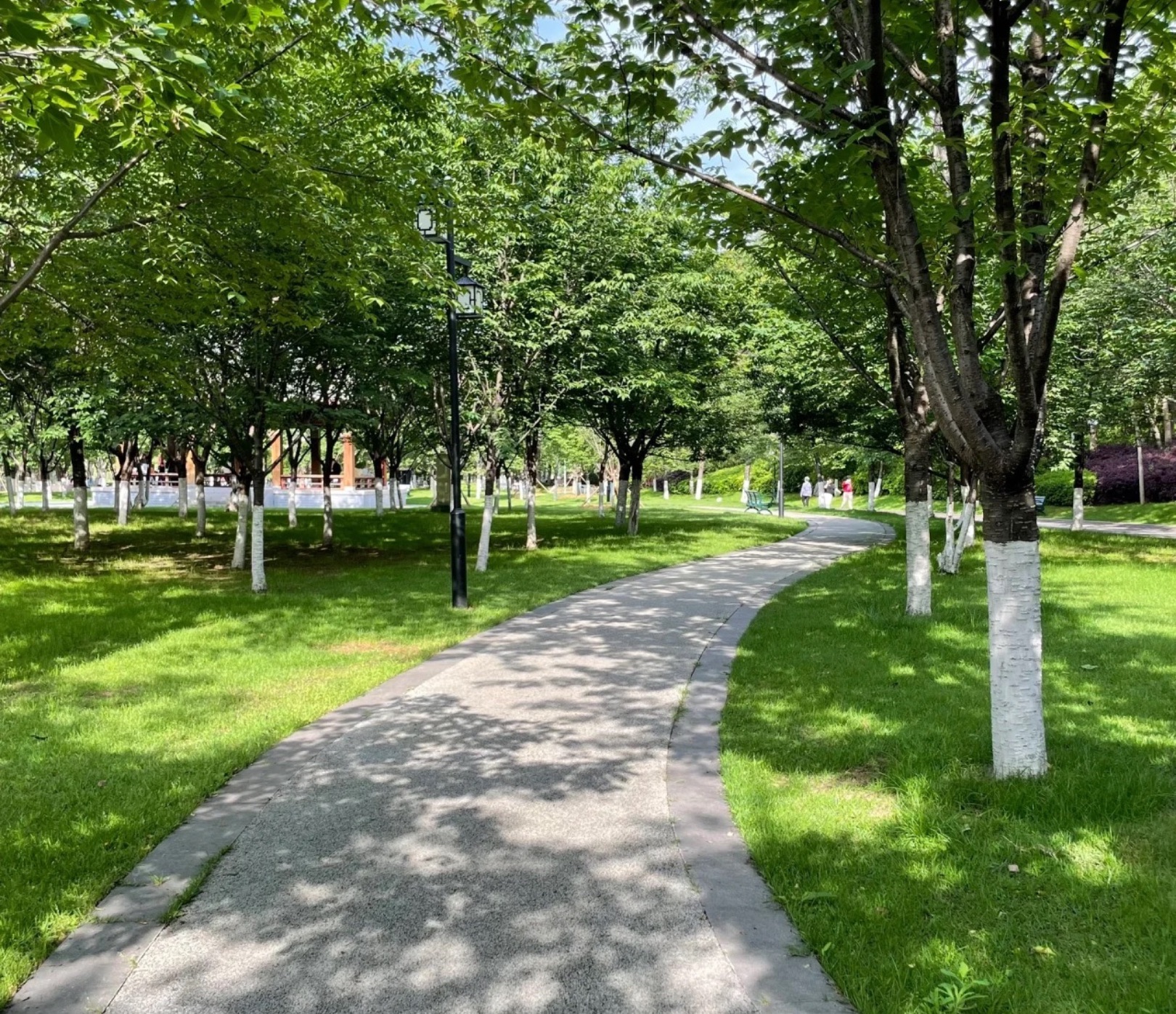 屈原公园旅行图片