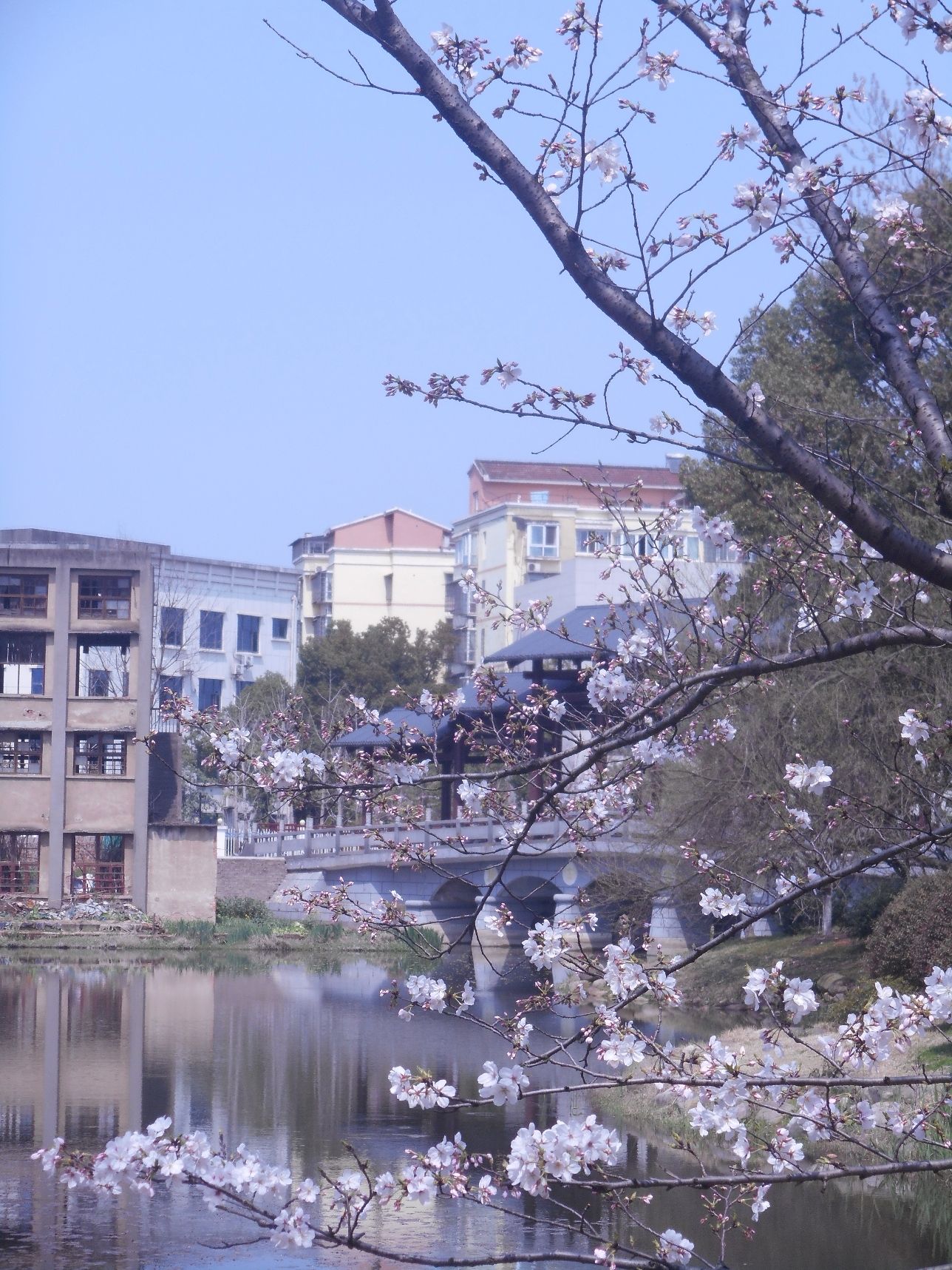 屈原公园旅行图片