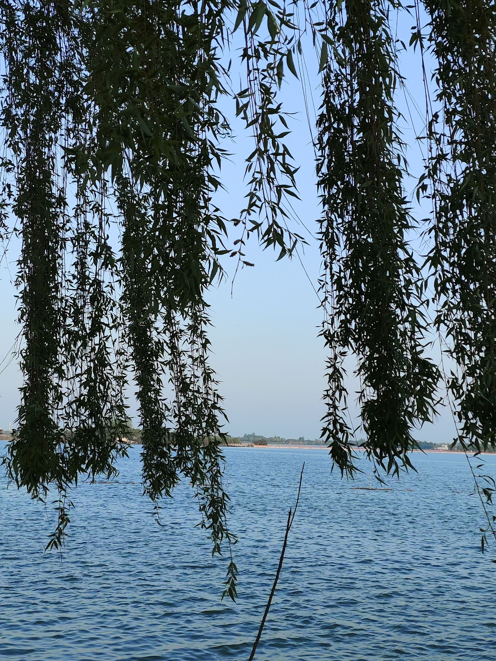 湖南常德柳叶湖旅游度假区