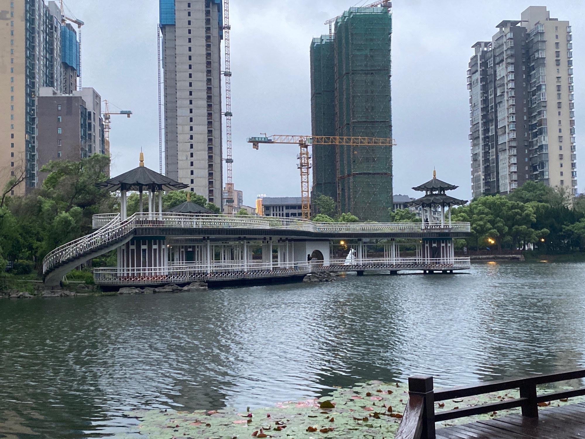 滨湖公园旅行图片