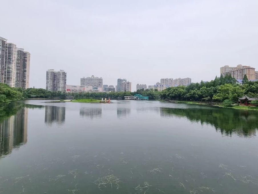 滨湖公园旅行图片