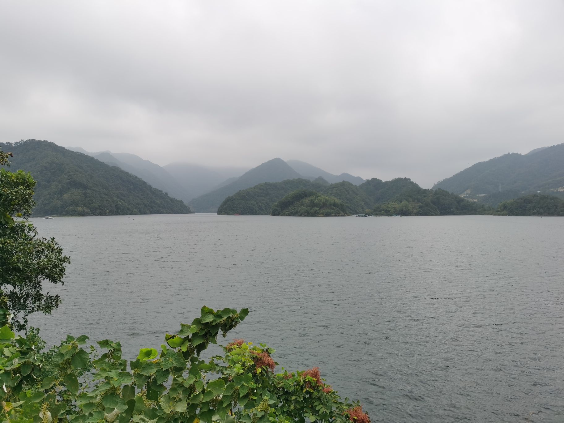 柘溪旅游区