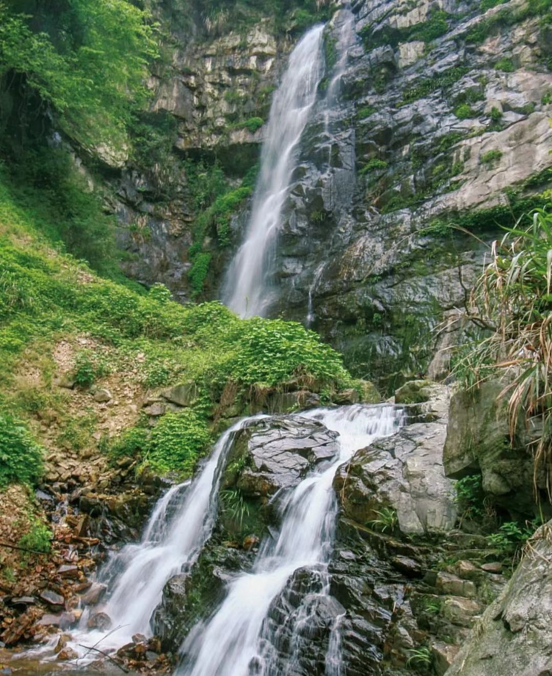 桃花江国家森林公园旅行图片
