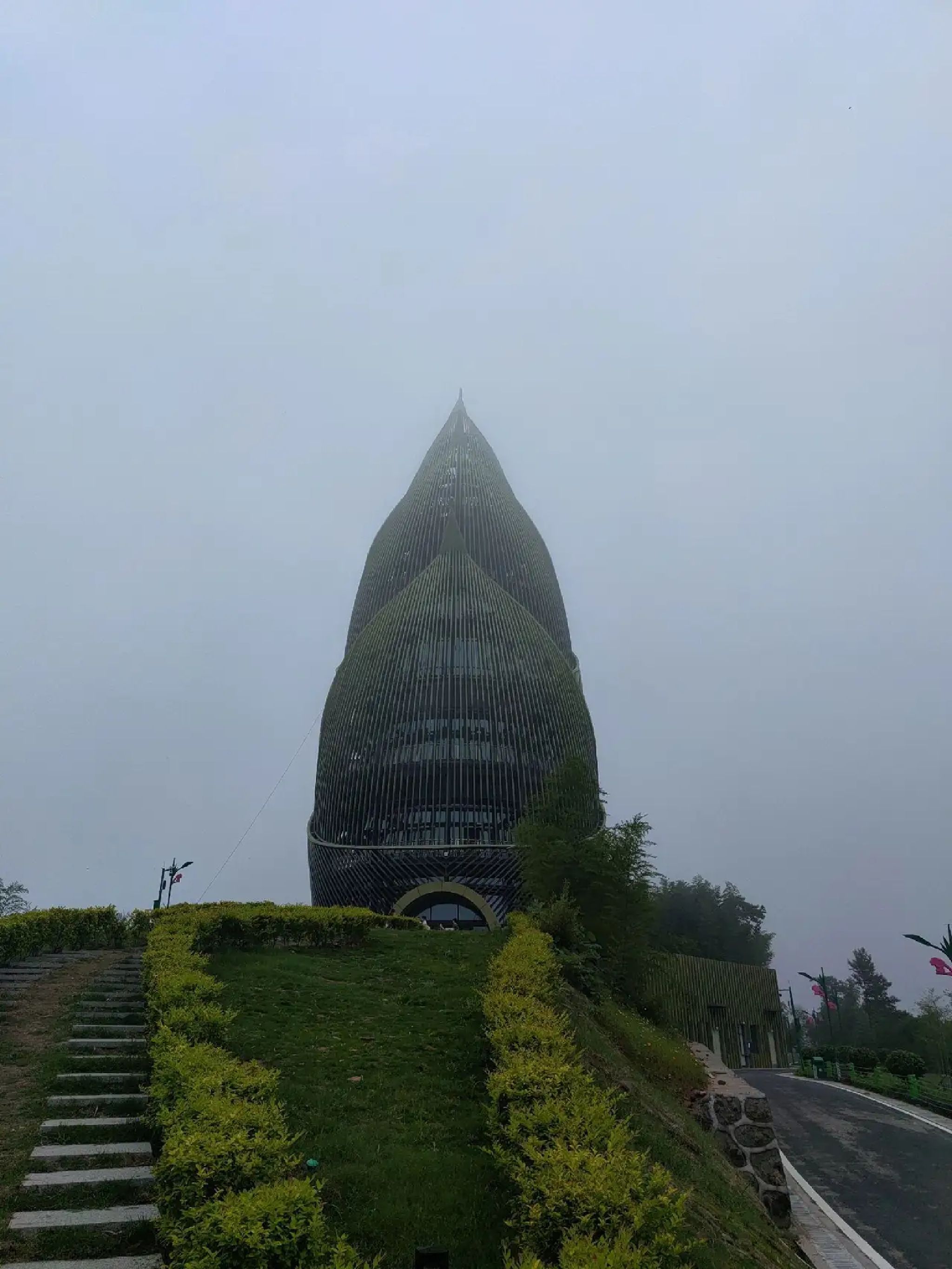 桃花江国家森林公园旅行图片