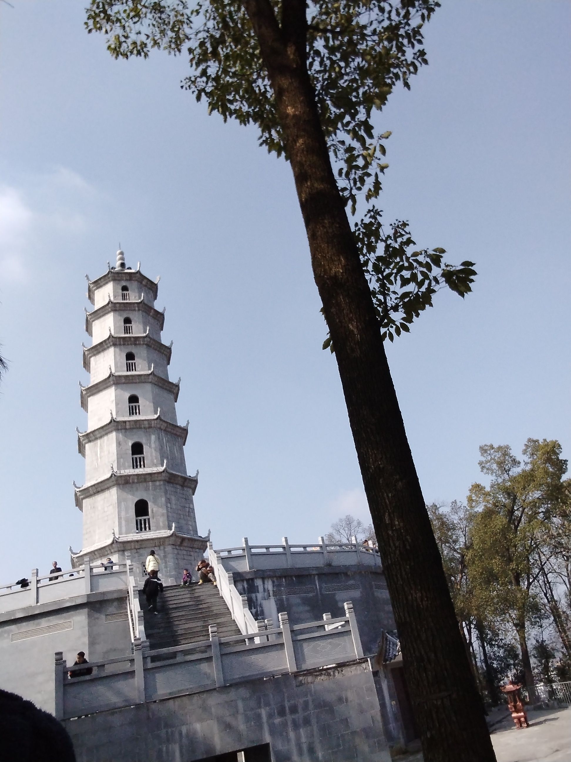 洪水岭森林公园旅行图片