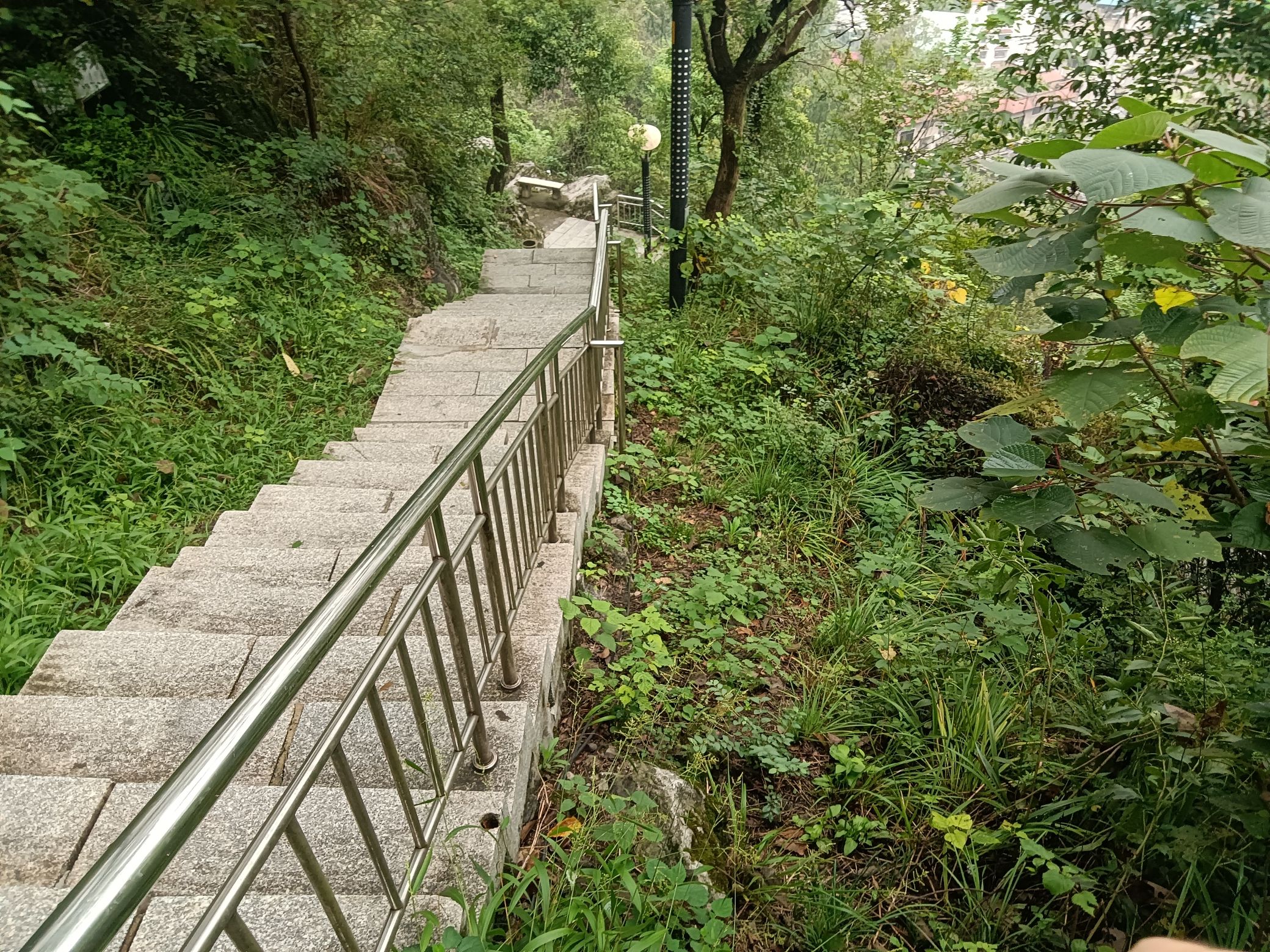 红日公园旅行图片