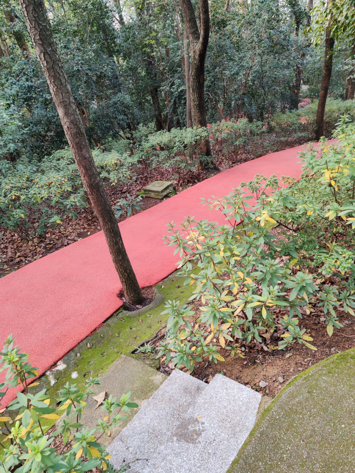 春园公园