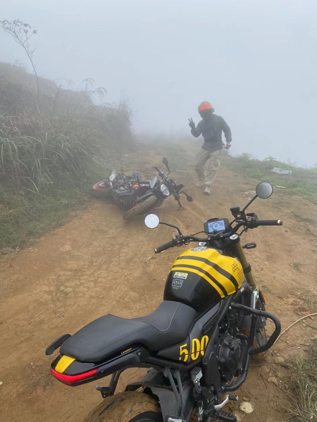 紫鹊界梯田景区