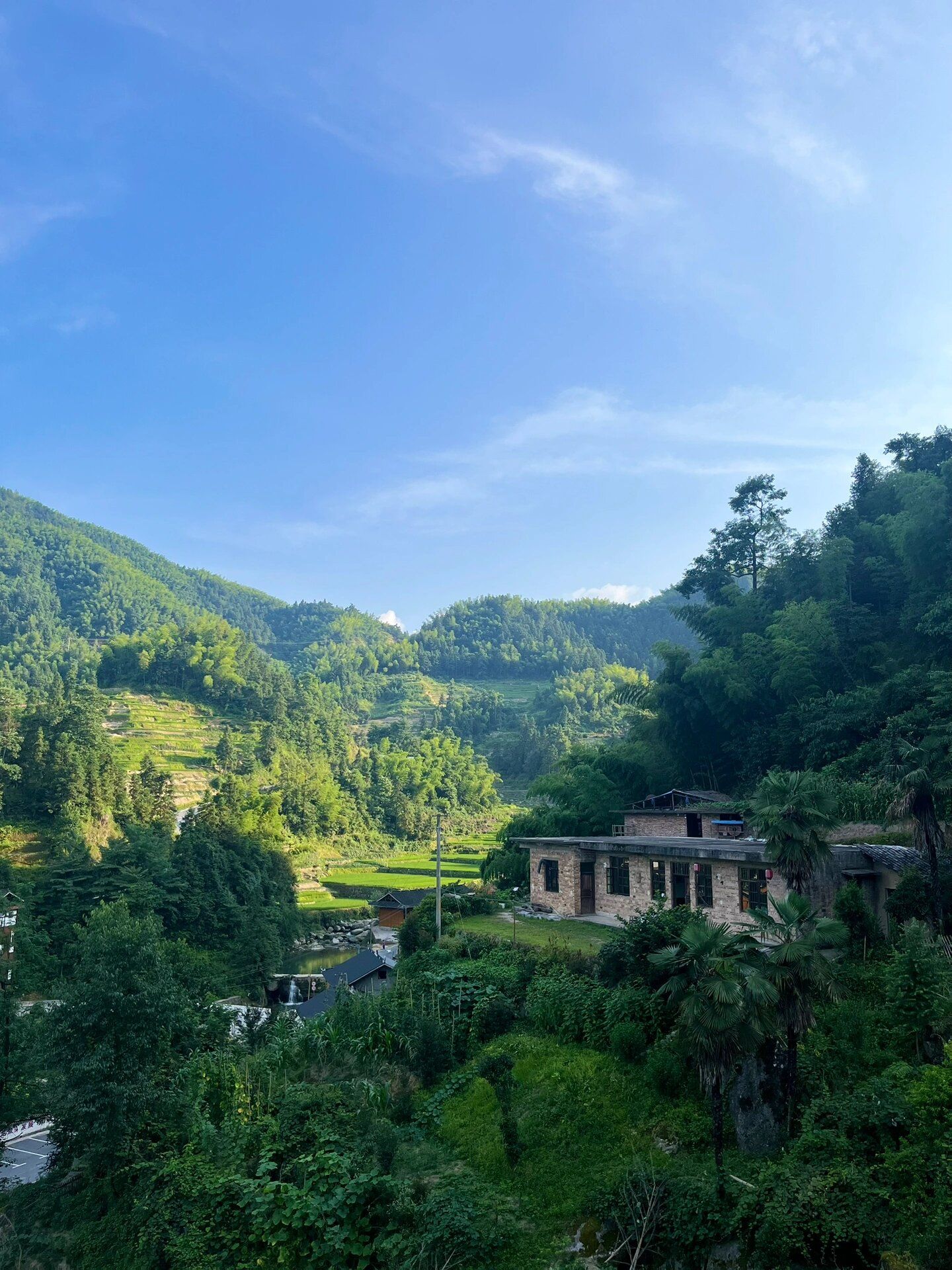 紫鹊界梯田景区旅行图片