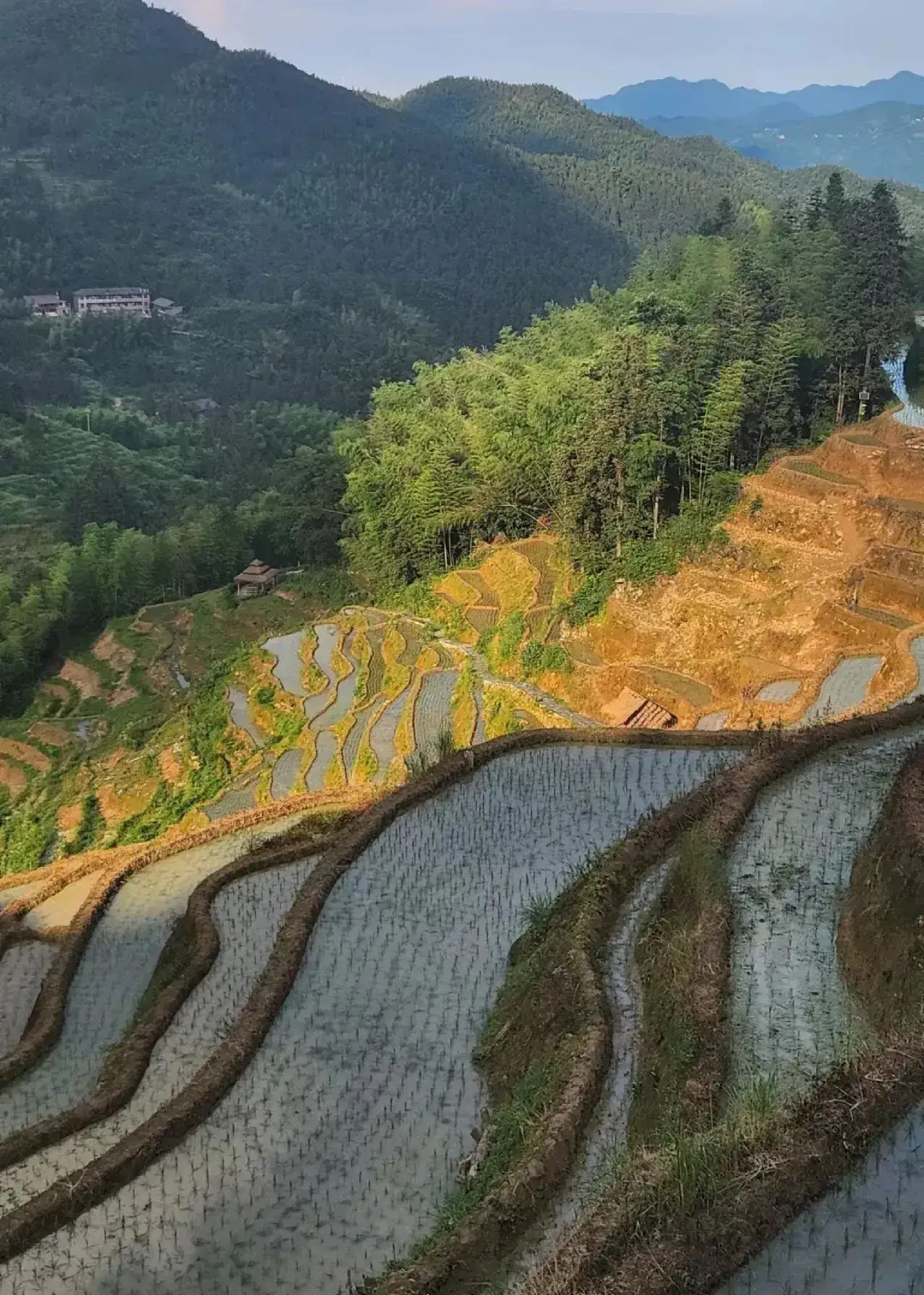 紫鹊界梯田景区旅行图片