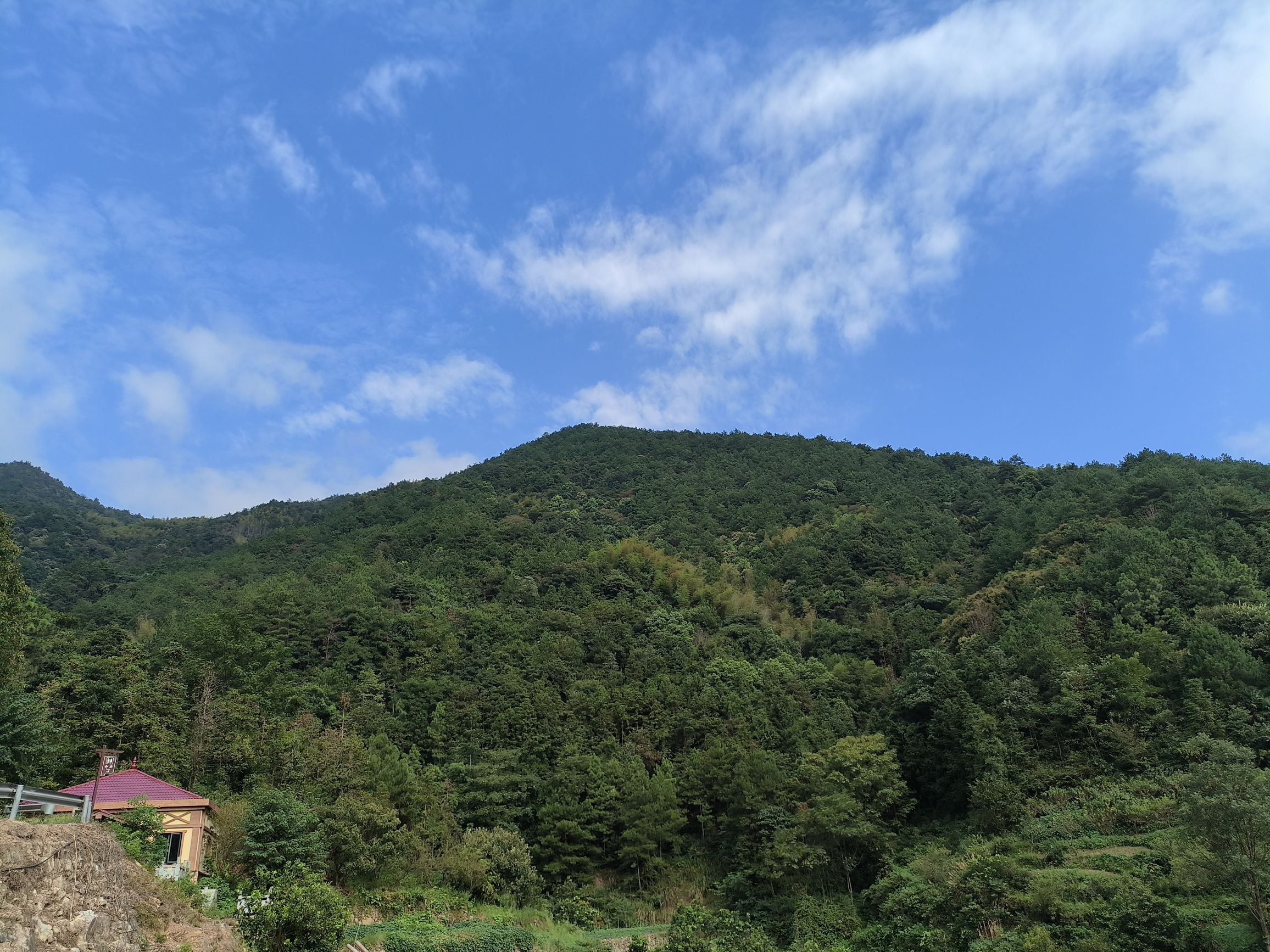 洪家山森林公园