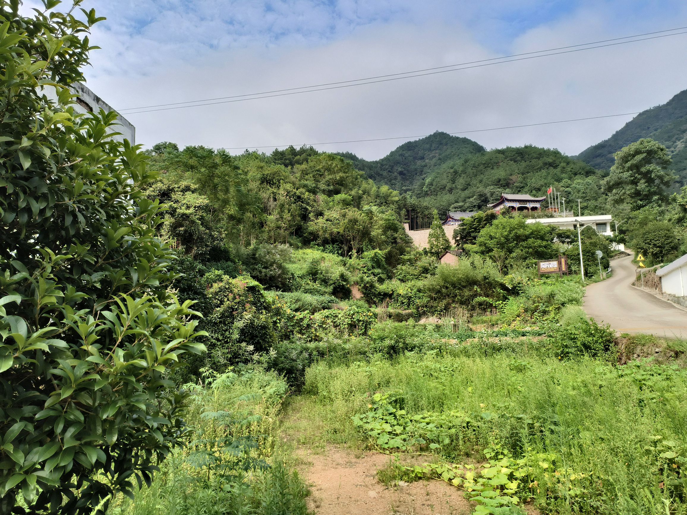 洪家山森林公园旅行图片