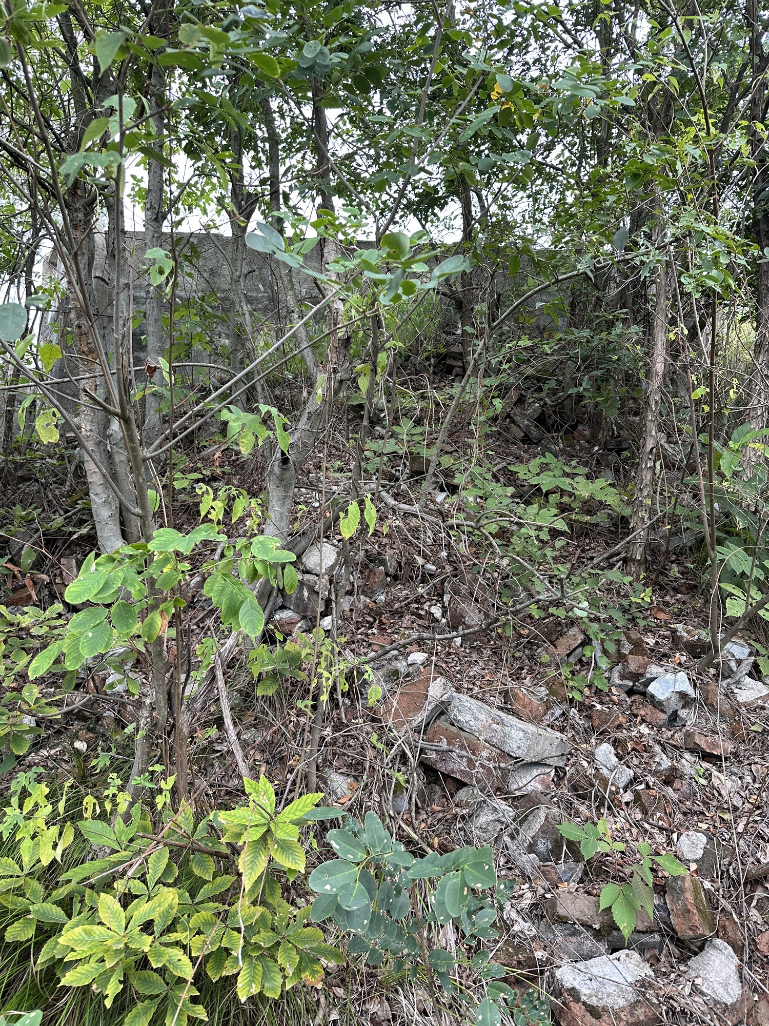 白云岩景区