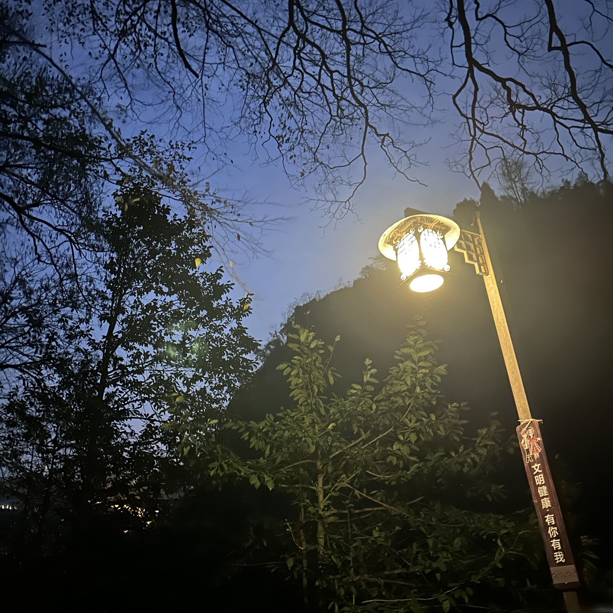 不二门国家森林公园旅行图片